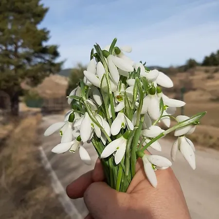La Montesa La Virgen de la Vega