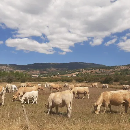 La Montesa La Virgen de la Vega