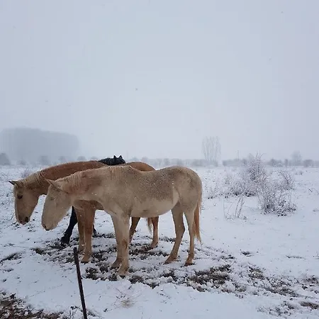 Apartment La Montesa