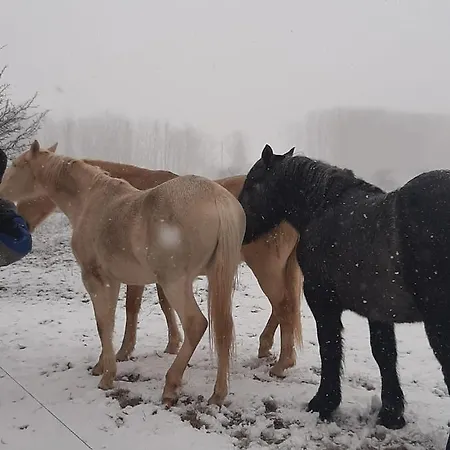 La Montesa Apartment *