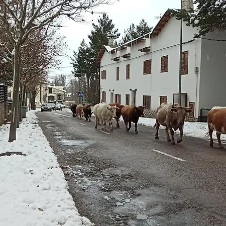 La Montesa Apartment *