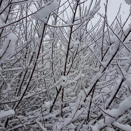 Apartment La Montesa La Virgen de la Vega